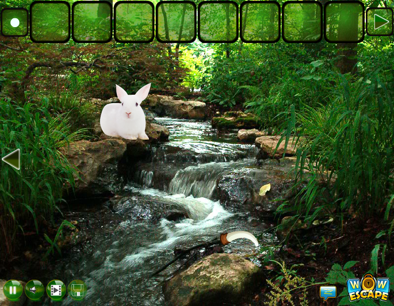 Rain Forest Rabbit Escape