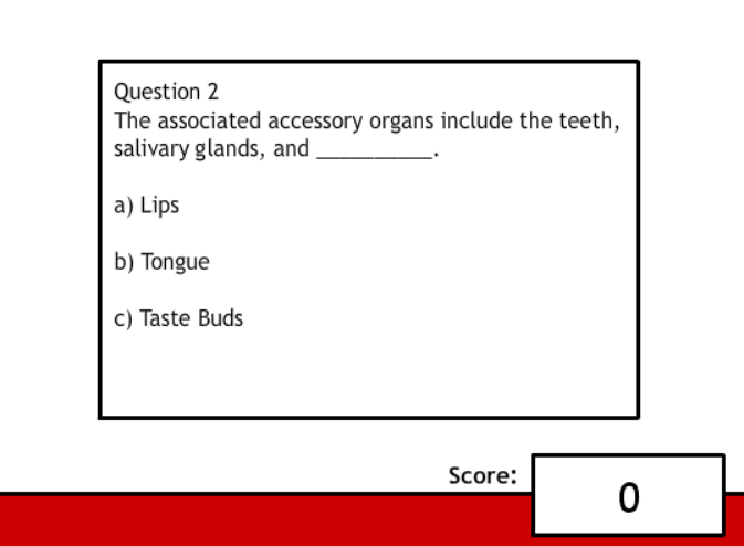The Digestive System and You