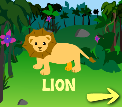 Jungle Flashcards