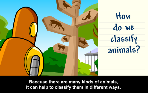 Classifying Animals: with Annie & Moby