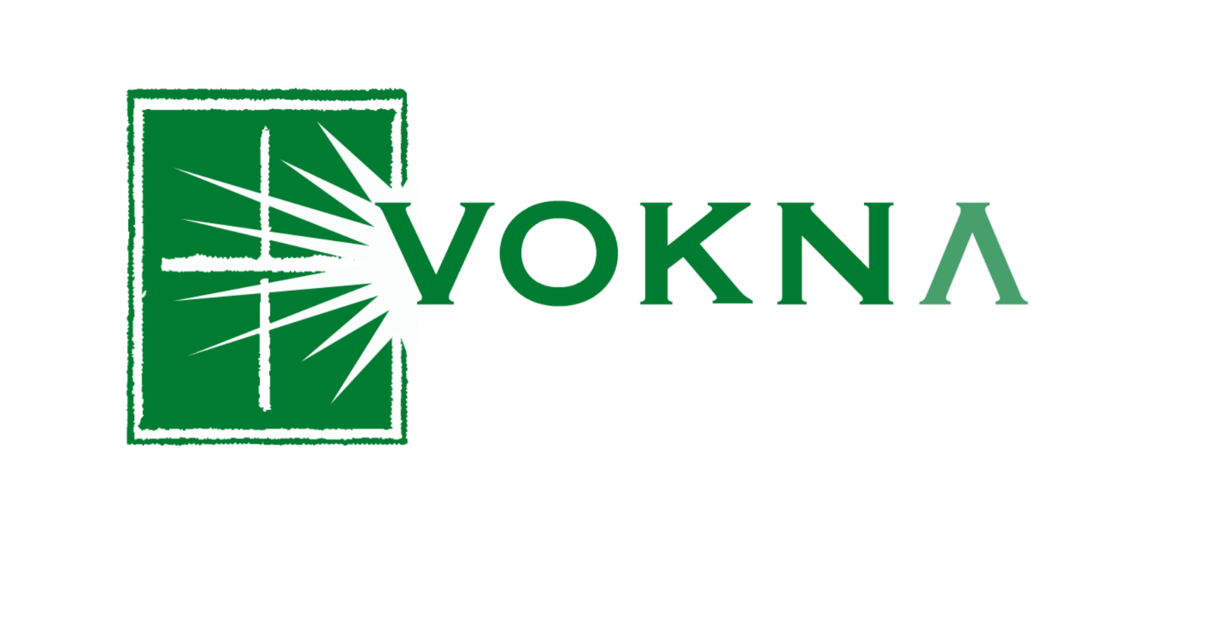 VOKNA Windows & Doors Website Intro (Colorado, United States)