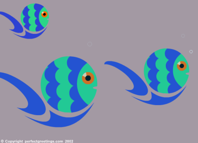 Congrats on Your New Pet Fish