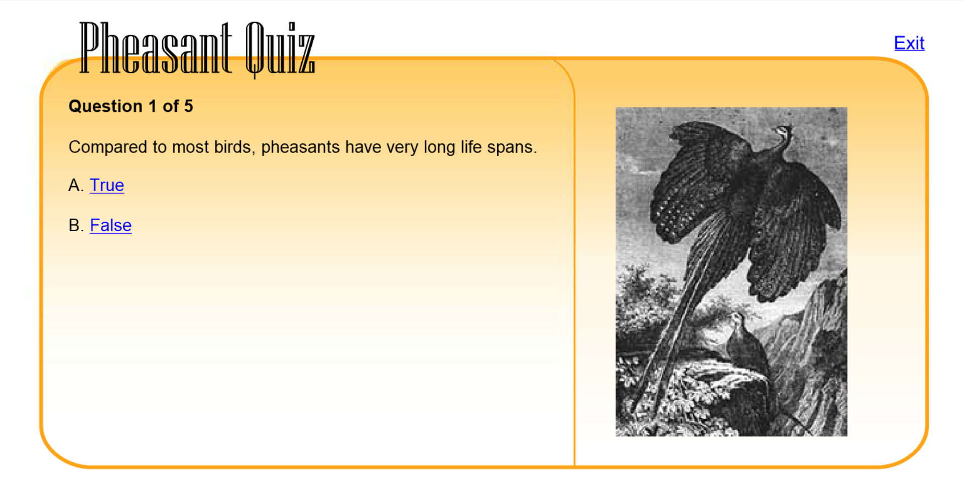 Pheasant Quiz