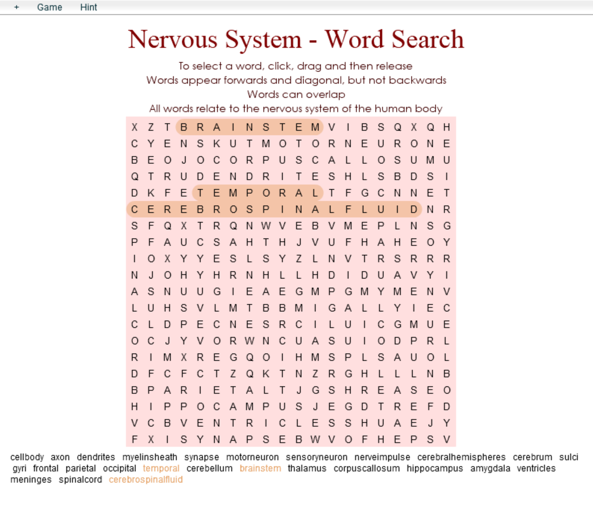 Nervous System - Word Search